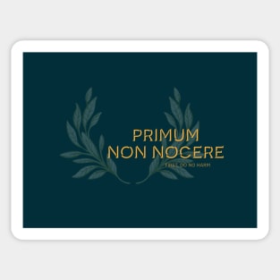 Primum non Nocere, First Do No Harm. Latin maxim. Sticker